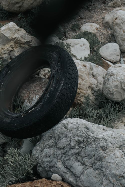 Rocks In Tires Old tire among rocks in a natural setting · Free Stock Photo