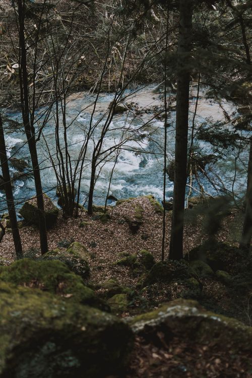 Free From above of seething foaming turbulent river flowing among rocky terrain with green trees Stock Photo
