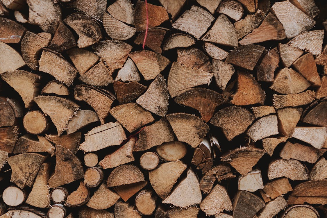 Free Brown and Black Firewoods Stock Photo