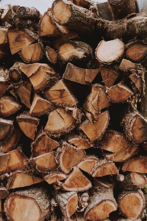 Wooden logs prepared for production of lumber