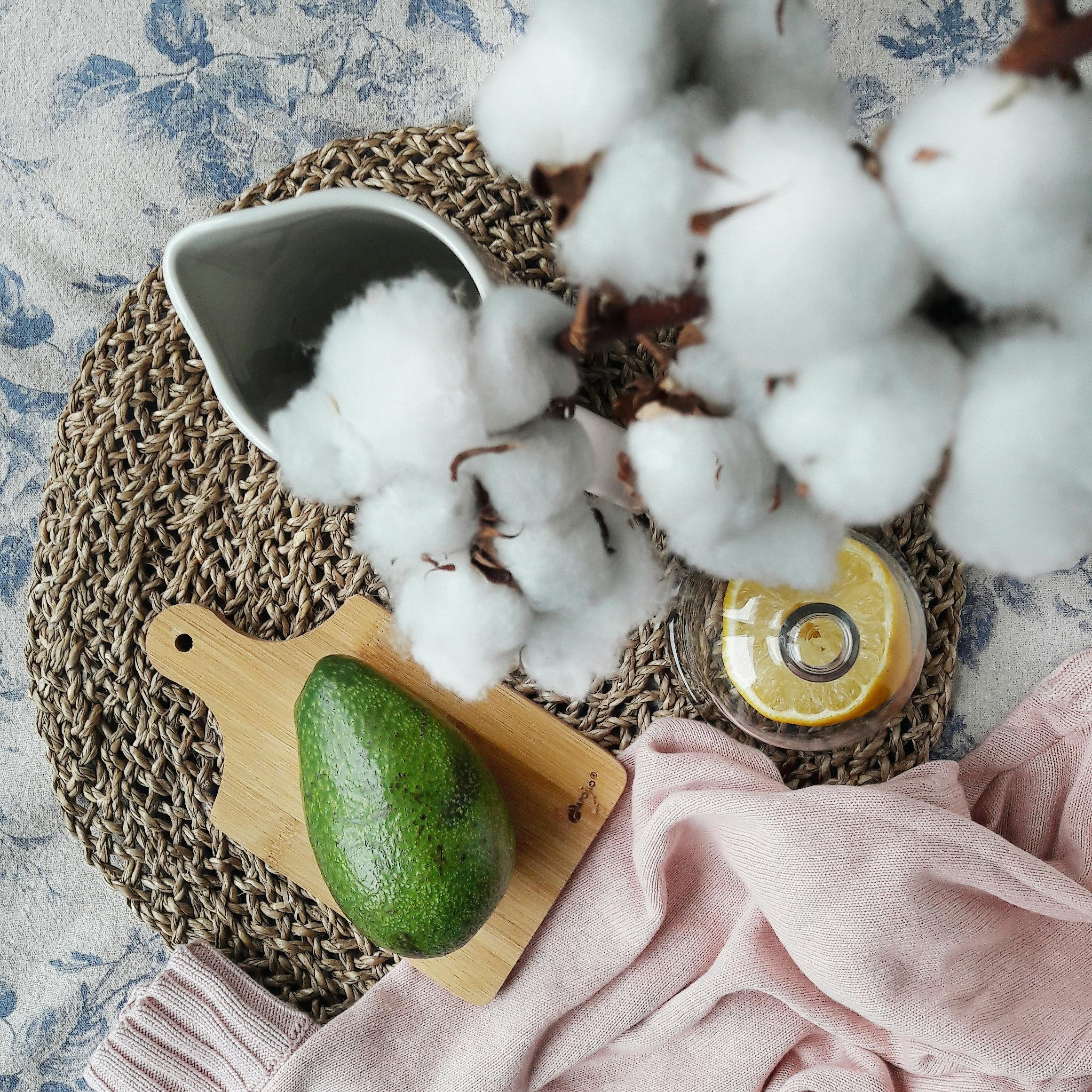 Affordable and Cozy: Best Budget-Friendly Hotels in Round Top Texas