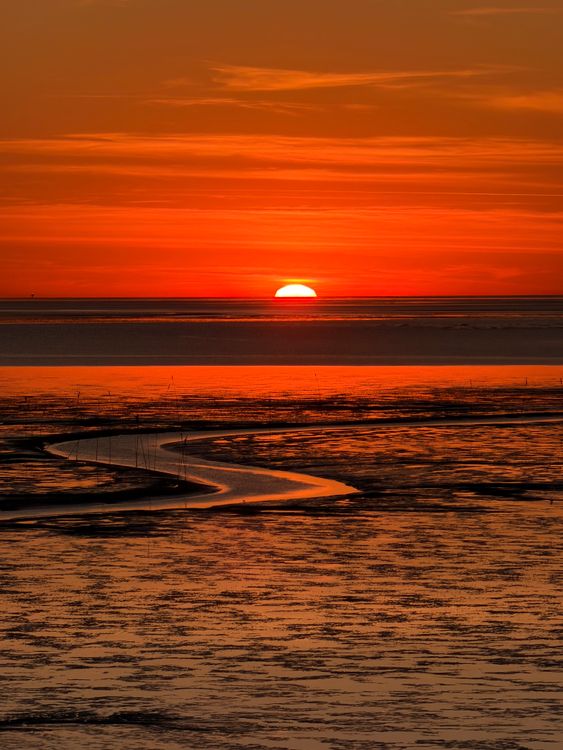 Stunning Sunset Over Serene Beach Shoreline · Free Stock Photo