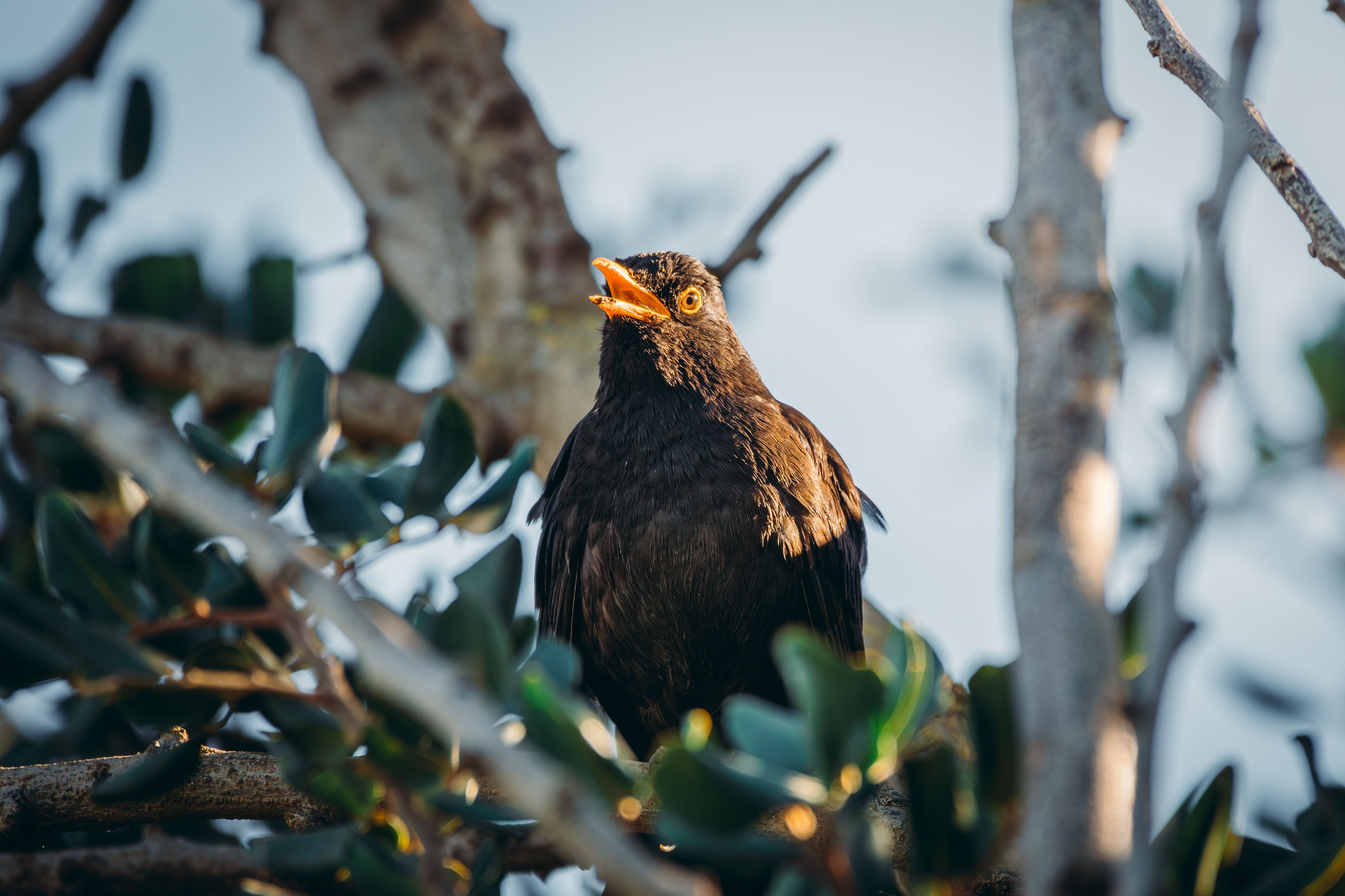 The Early Bird Gets the Fashion! 19 Labor Day Sales to Kick-Start Your Fall Wardrobe — Photo by Mahmoud Yahyaoui on Pexels