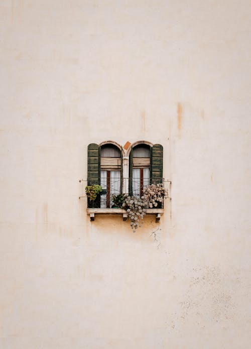 Zielone Drewniane Okno Na Białej Betonowej ścianie