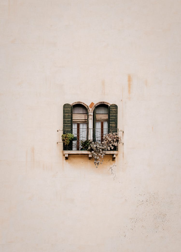 Green Wooden Window On White Concrete Wall