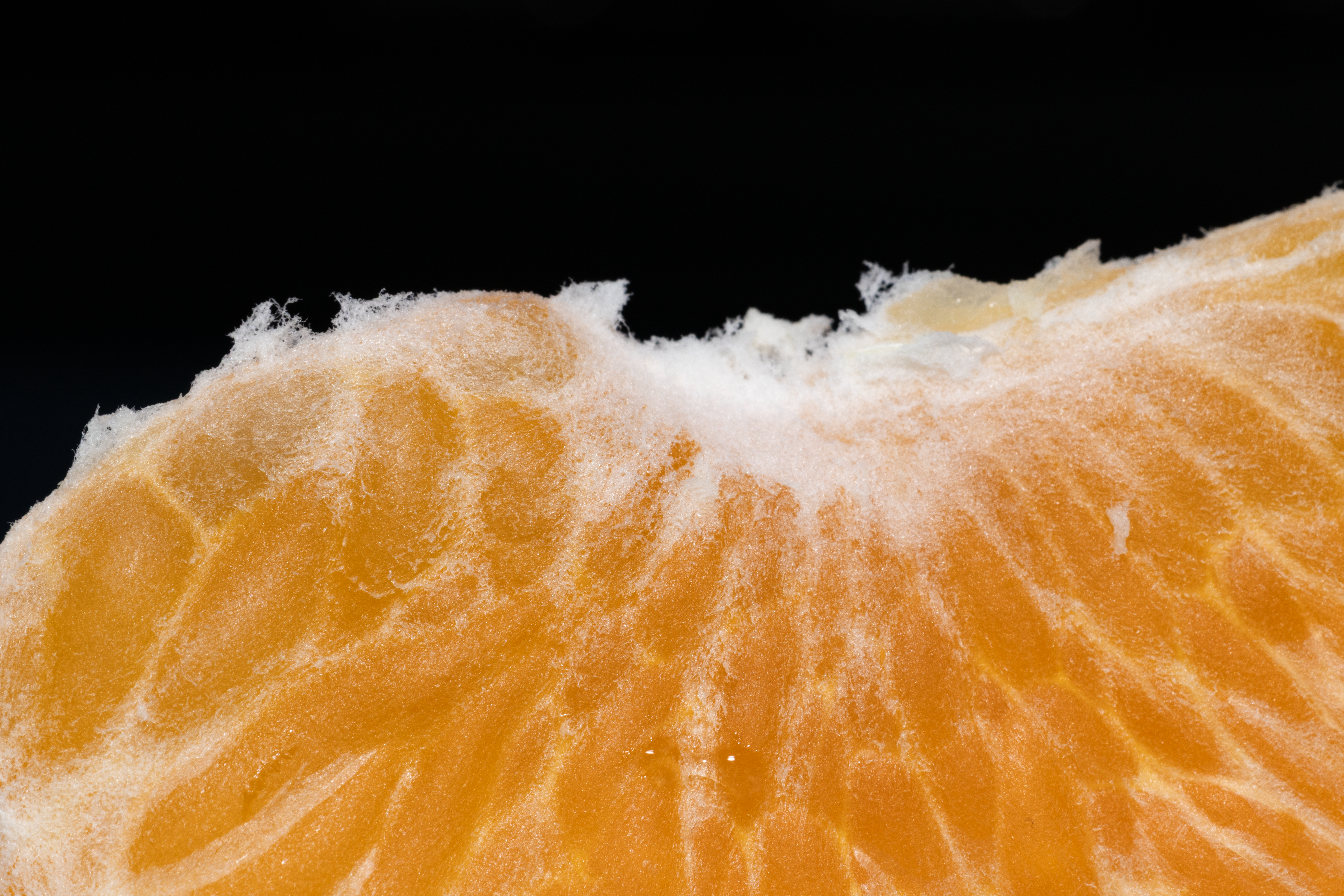 Macro shot of a fresh orange segment with vivid details on a black background.