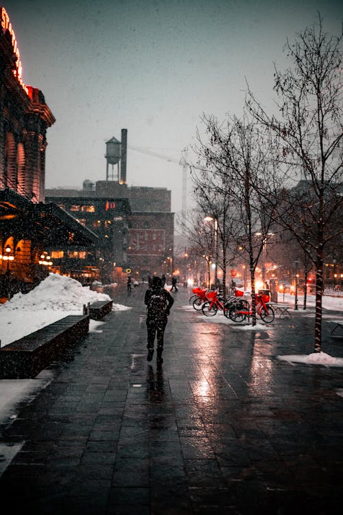 People Walking on Street