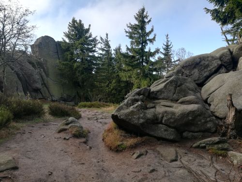 Free Explore the rugged beauty of a forest trail in Województwo Dolnośląskie, Poland, revealing majestic rocks and trees. Stock Photo