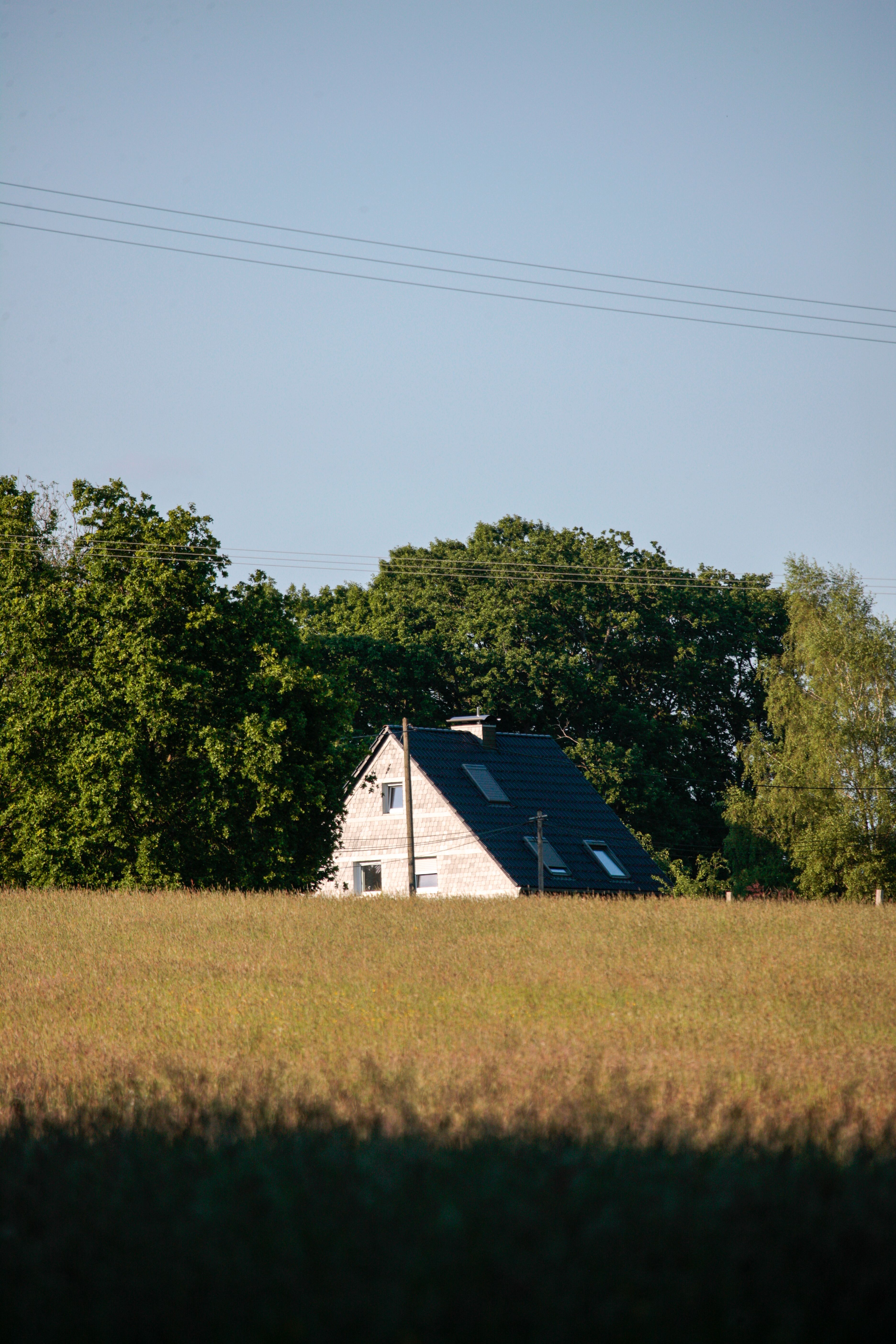 Serene rural scene with a charming house surrounded by trees in a sunny field.