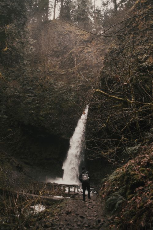 Free Explore the natural beauty of an Oregon forest featuring a captivating waterfall and wooden bridge. Stock Photo