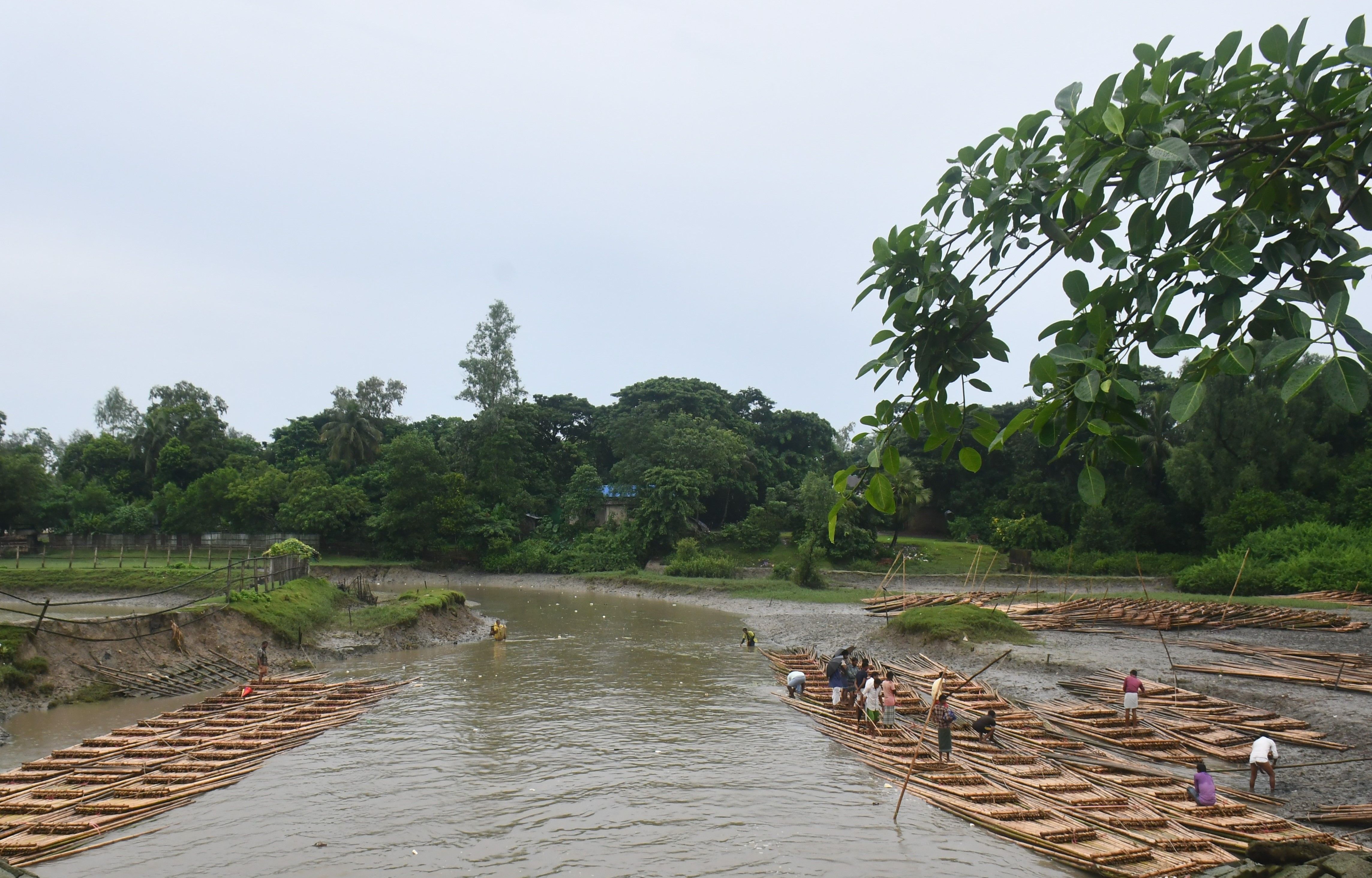 Traditional Bamboo Rafting in Rural Bangladesh · Free Stock Photo