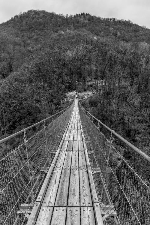 Free Dramatic monochrome perspective of the renowned wooden suspension bridge in Swiss wilderness. Stock Photo