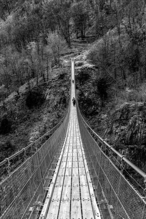 Free Black and white view of a suspension bridge in the Swiss Alps, offering adventure in serene nature. Stock Photo