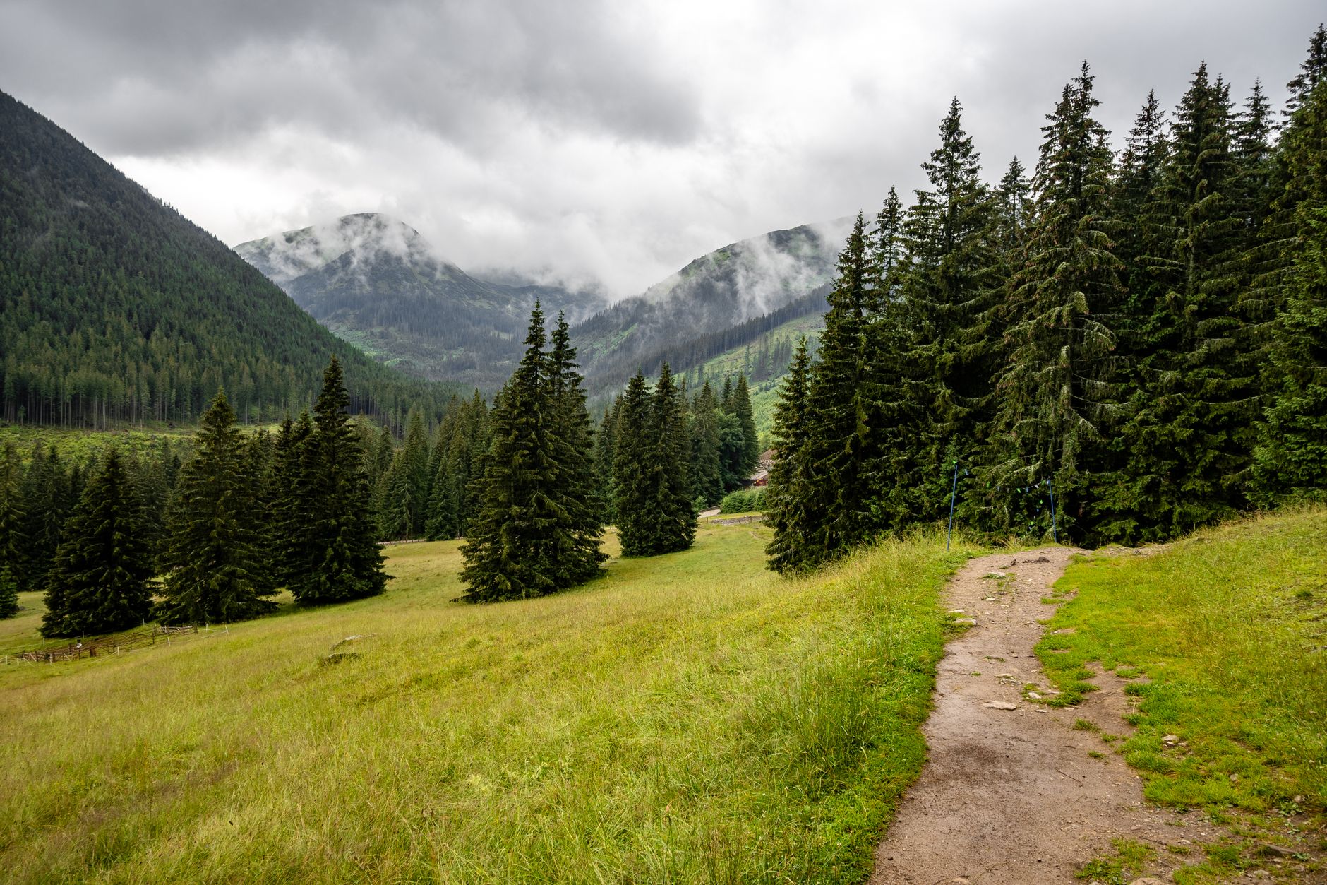 The Best Hiking Trails in Dajti National Park