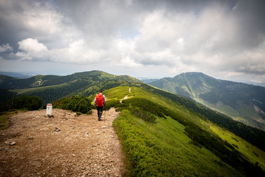 Hiker walking a ridge trail through green mountains — Sylwia Bartyzel on Pexels