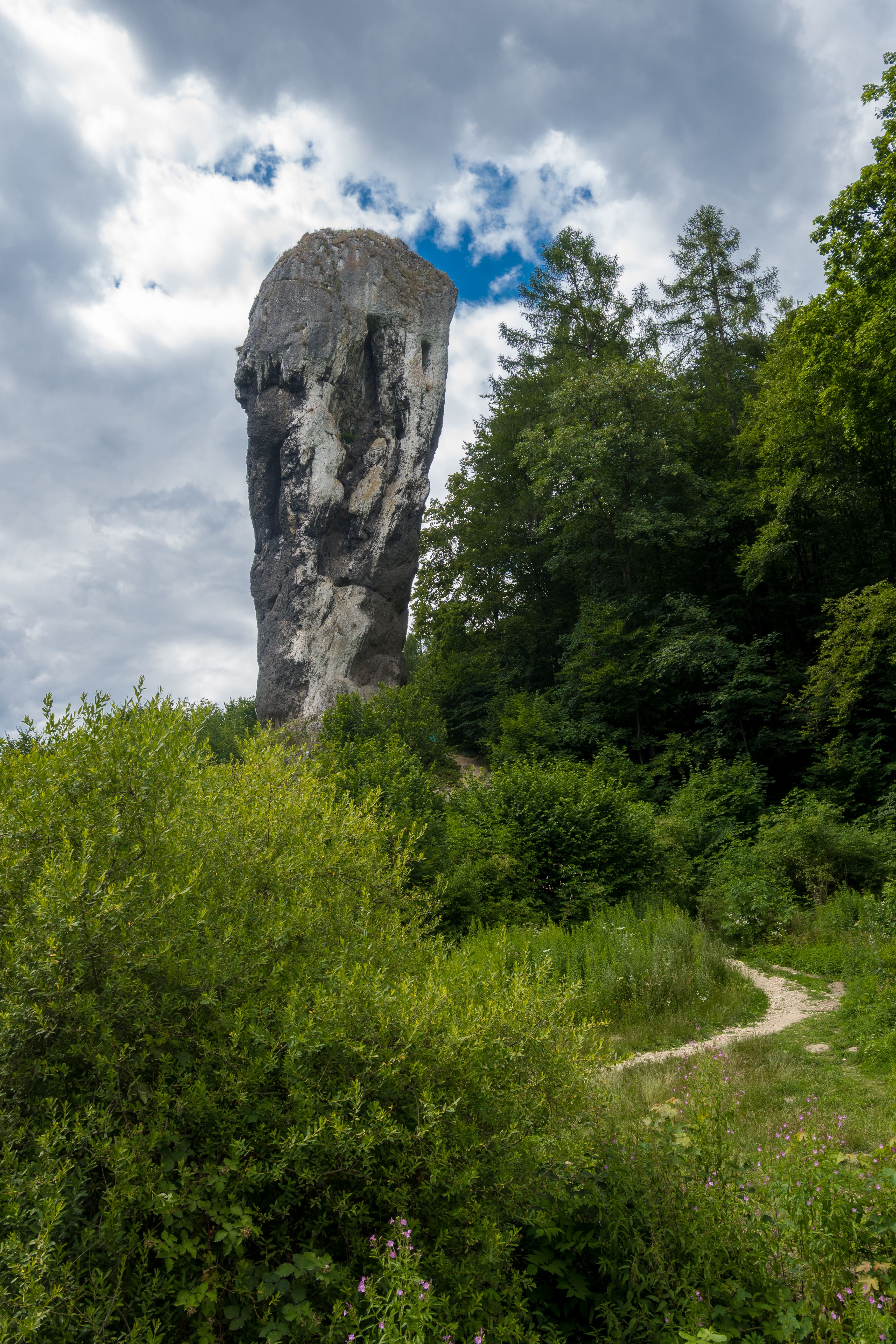 A stunning limestone rock formation in a lush Polish forest under a cloudy sky.
