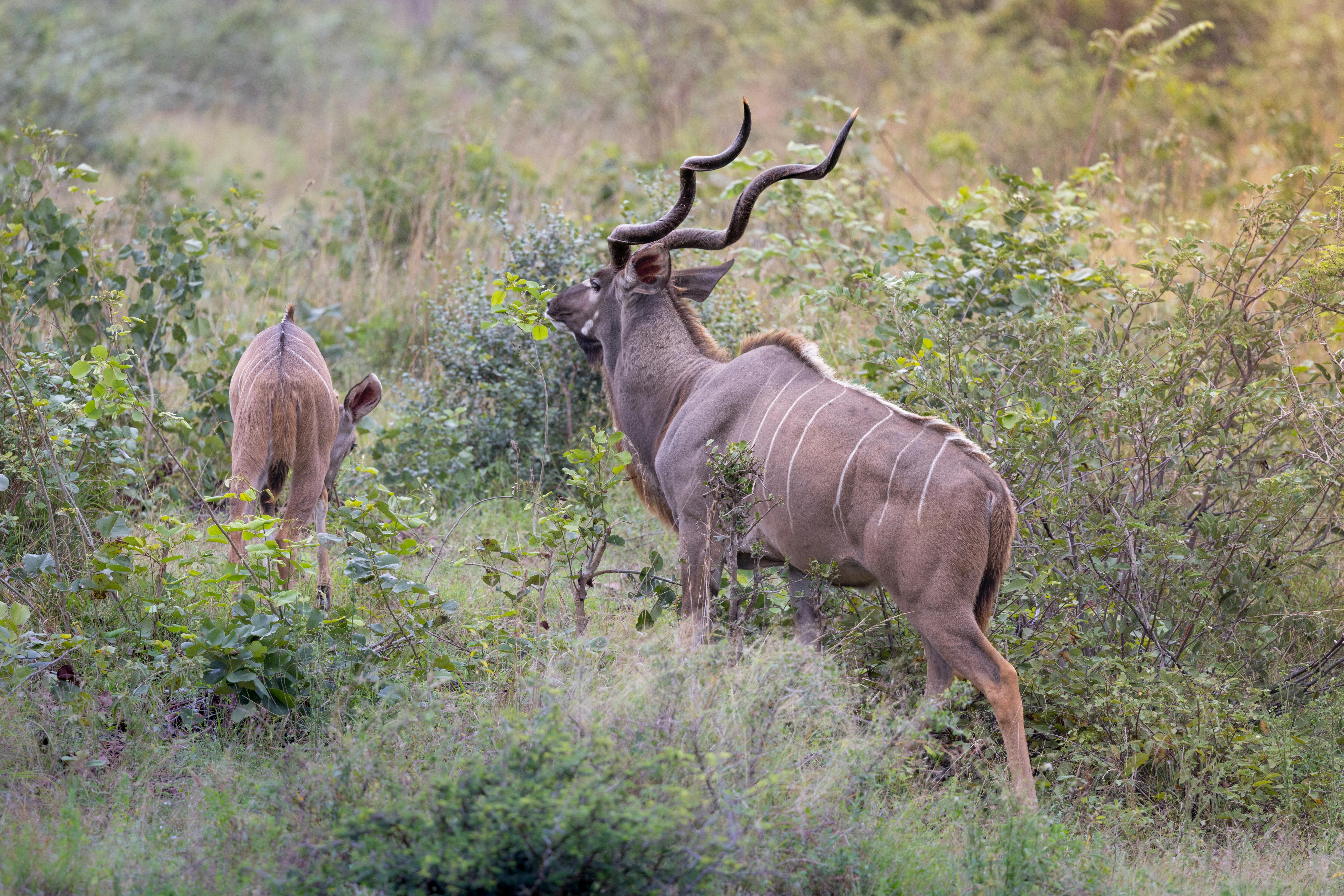Landmarks in Selous Game Reserve