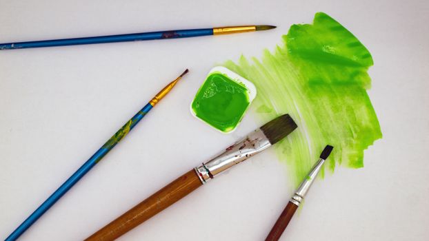 Top view of paintbrushes and green watercolor paint on canvas.