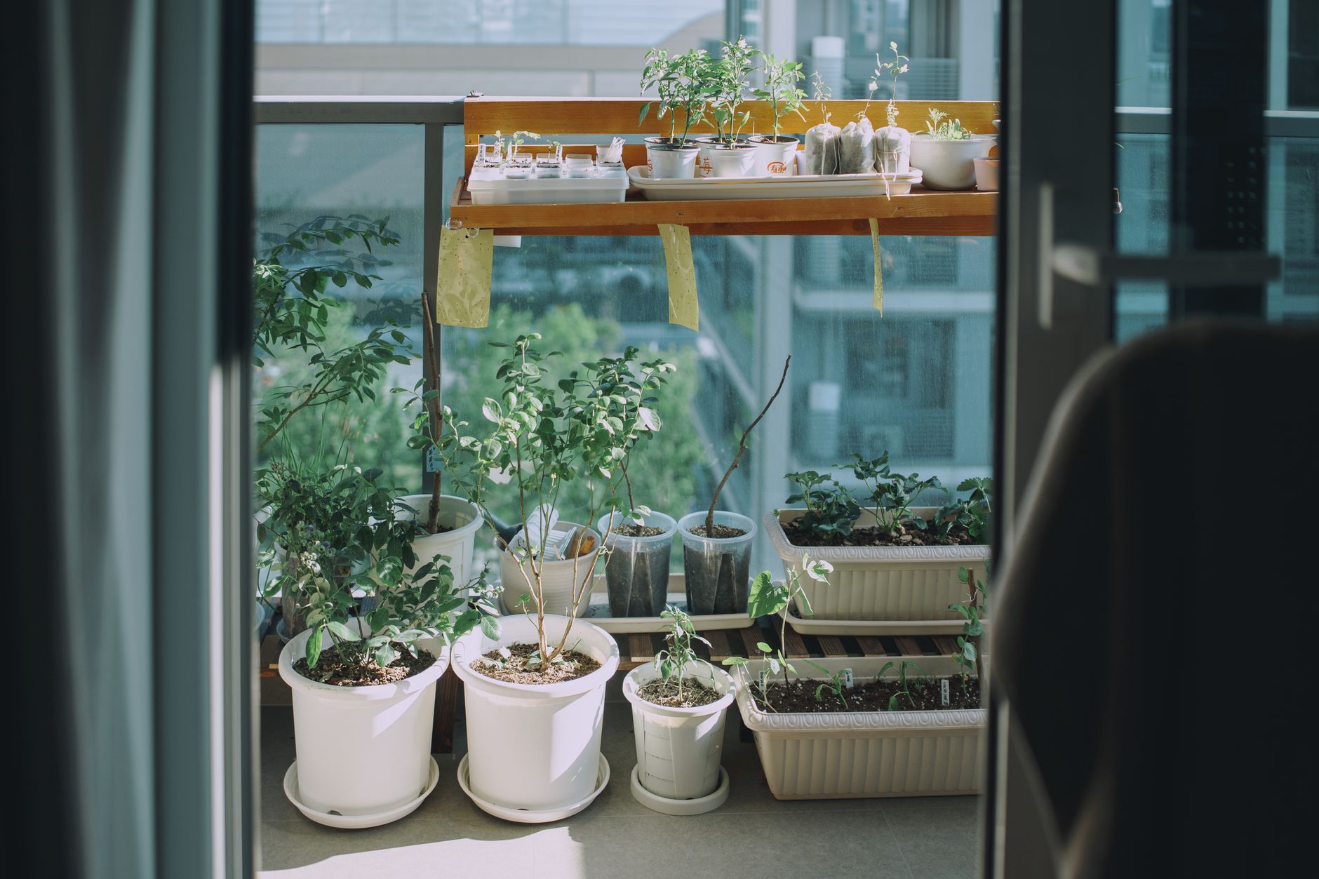 Small Balcony Garden Design Ideas