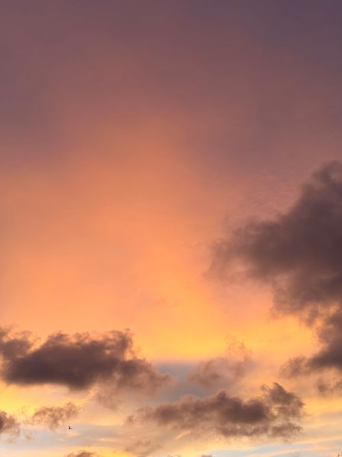 Free A captivating sunset in Chennai, showcasing vibrant pink and orange hues with dramatic clouds. Stock Photo