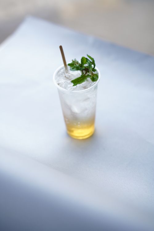 Free A plastic cup filled with ice, refreshing ginger ale, and mint leaves, perfect for a summer day. Stock Photo