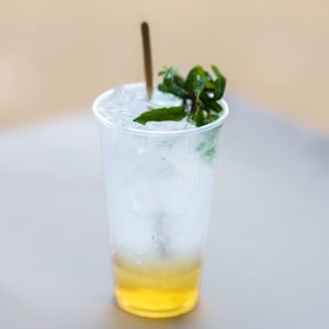 Pale ginger soda with mint over ice, photo by Kunal Lakhotia on Pexels