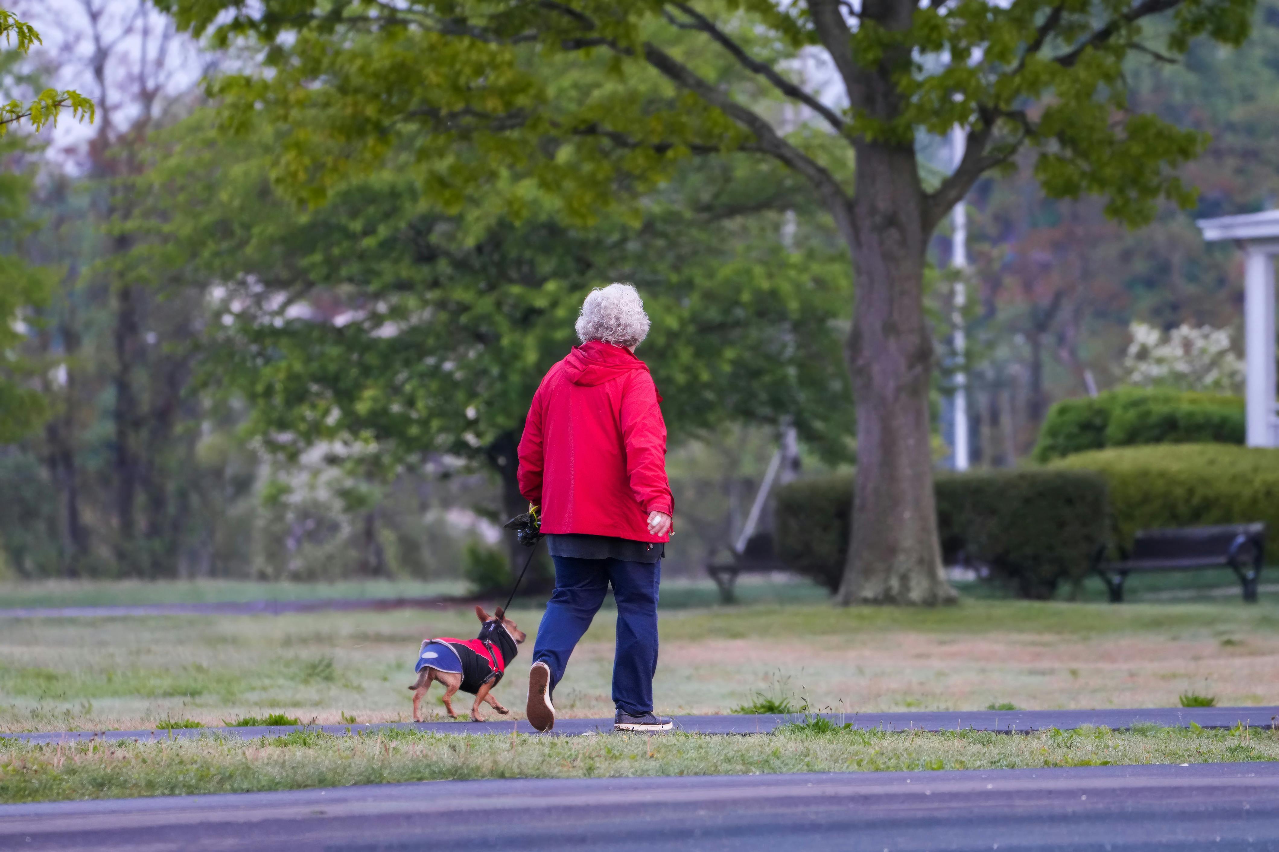 DeOGee Spaw owner focuses on boarding, grooming and a family feel in downtown Kinston — Photo by Cara Denison on Pexels