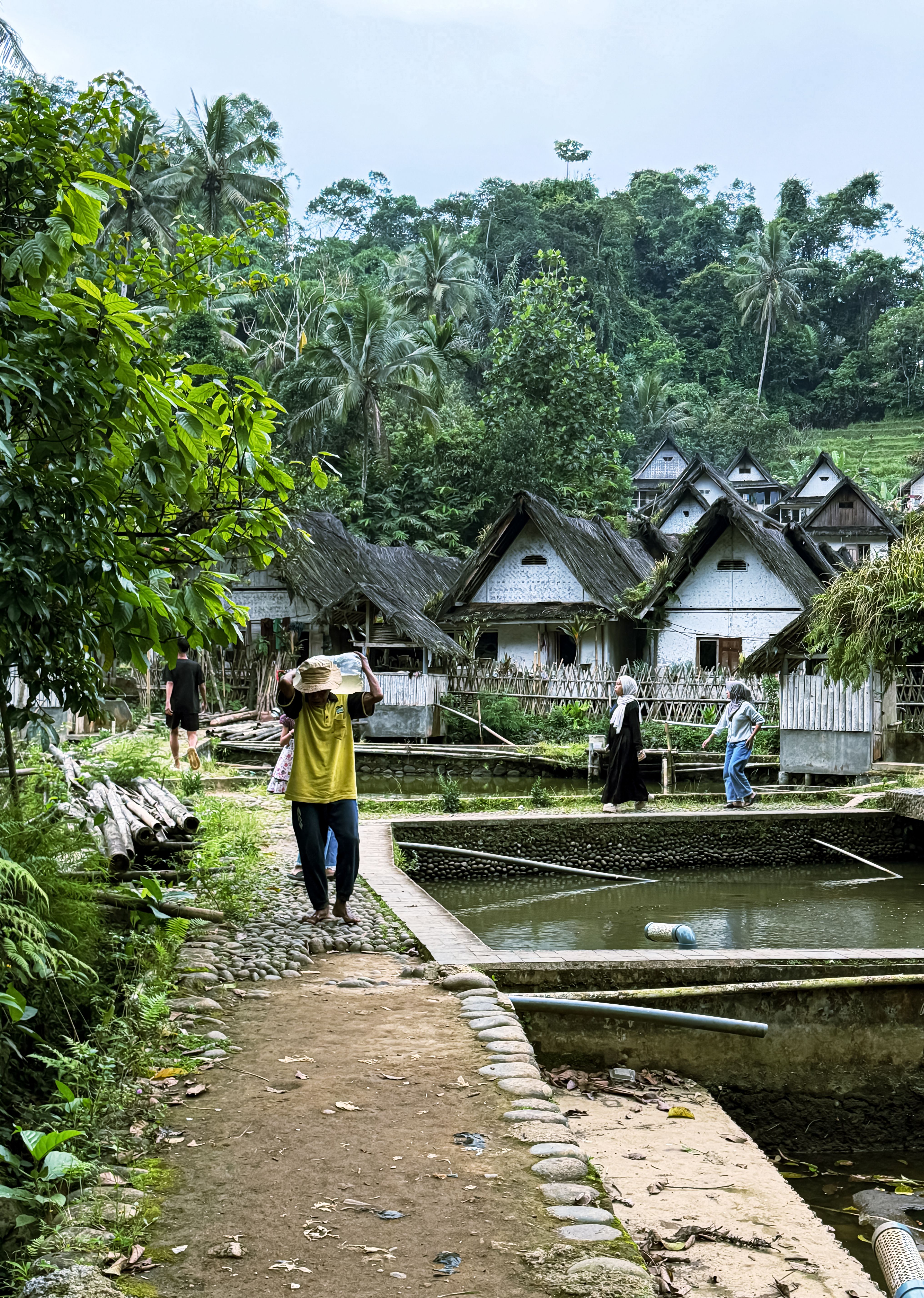 Rural Village Scene with Traditional Houses · Free Stock Photo