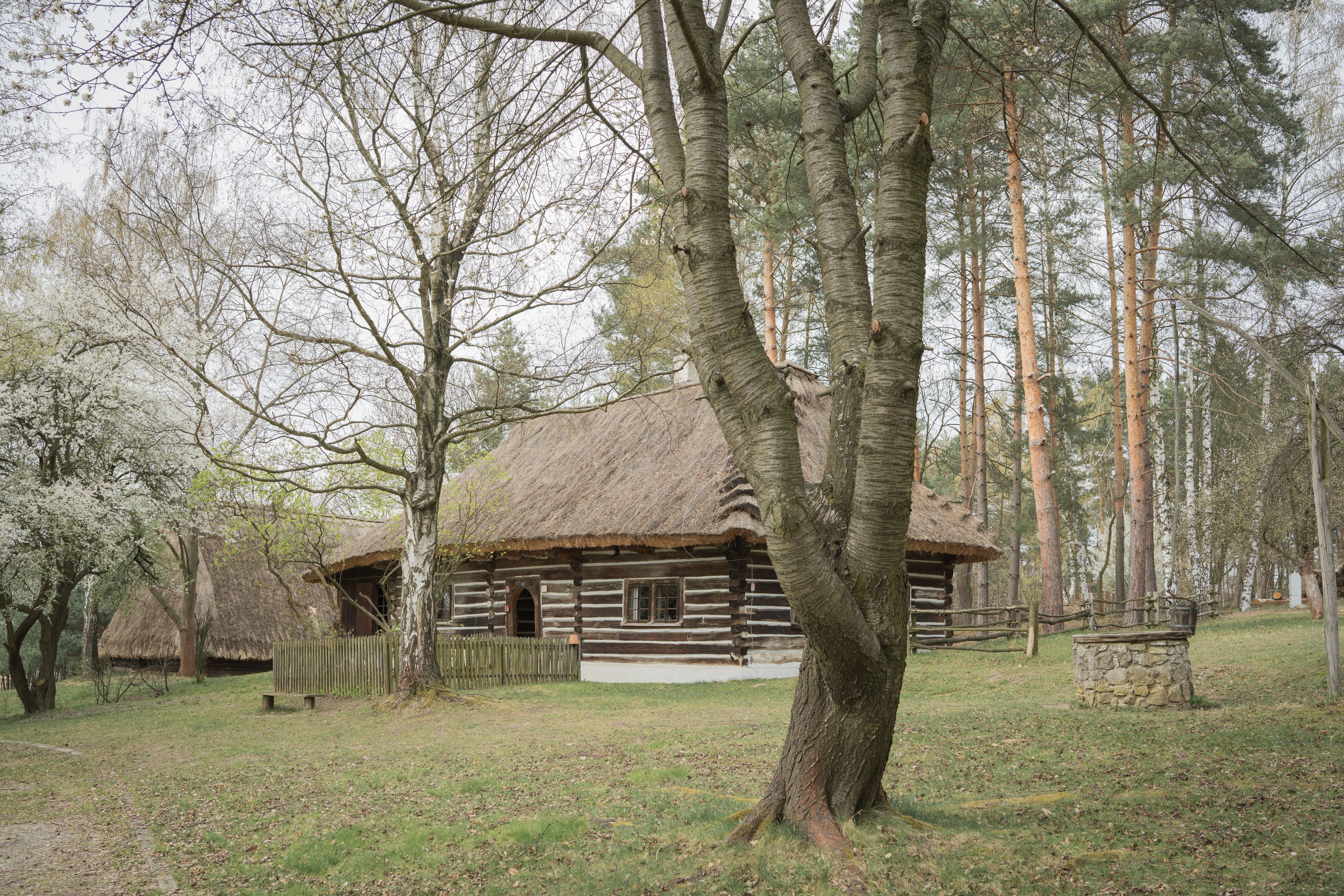 Skansen i cerkiew drewniana