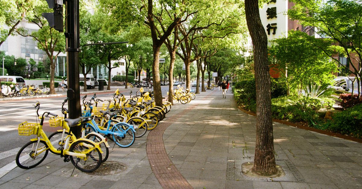Yellow shared bikes line a tree-shaded street in vibrant Shanghai, China.