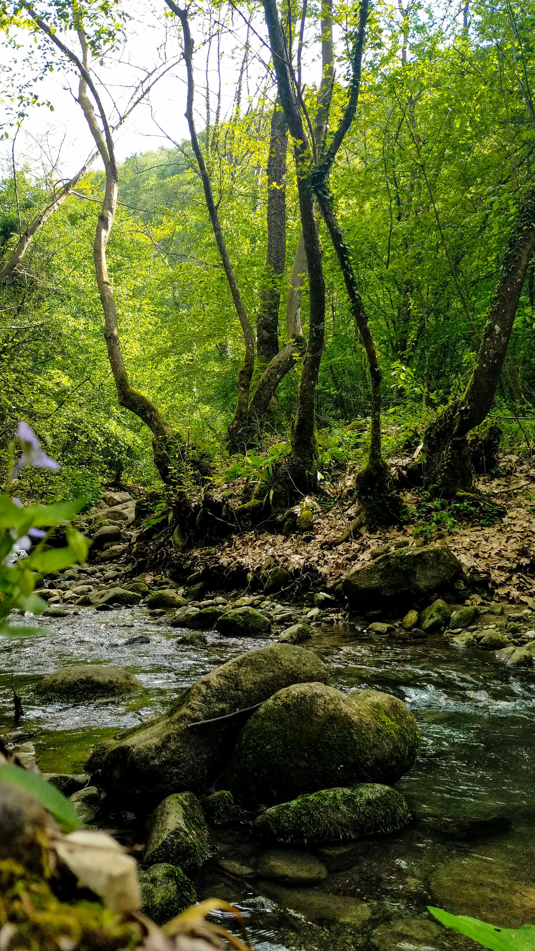 Fotomural Fotolia