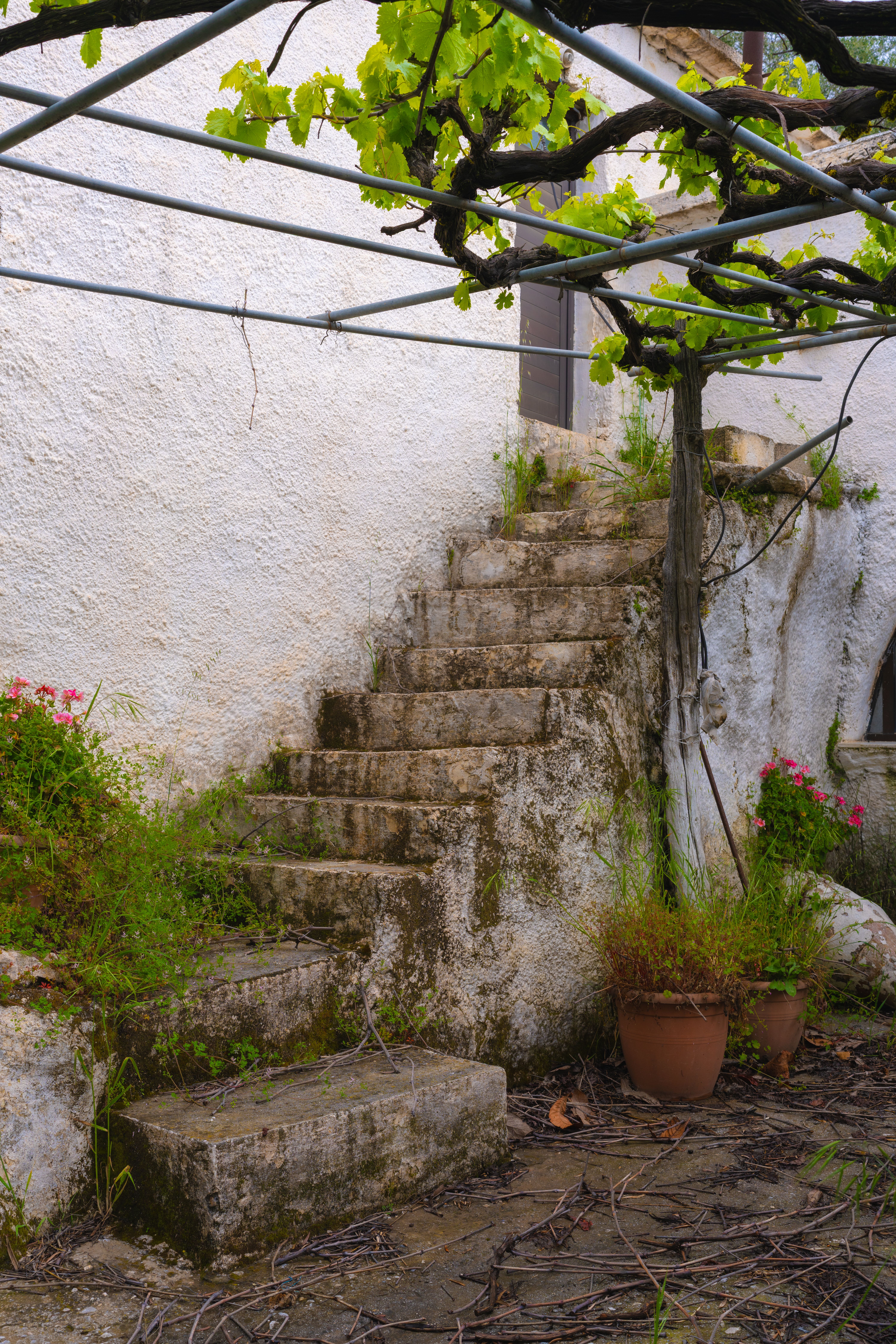 Rustic Stone Steps with Green Foliage · Free Stock Photo