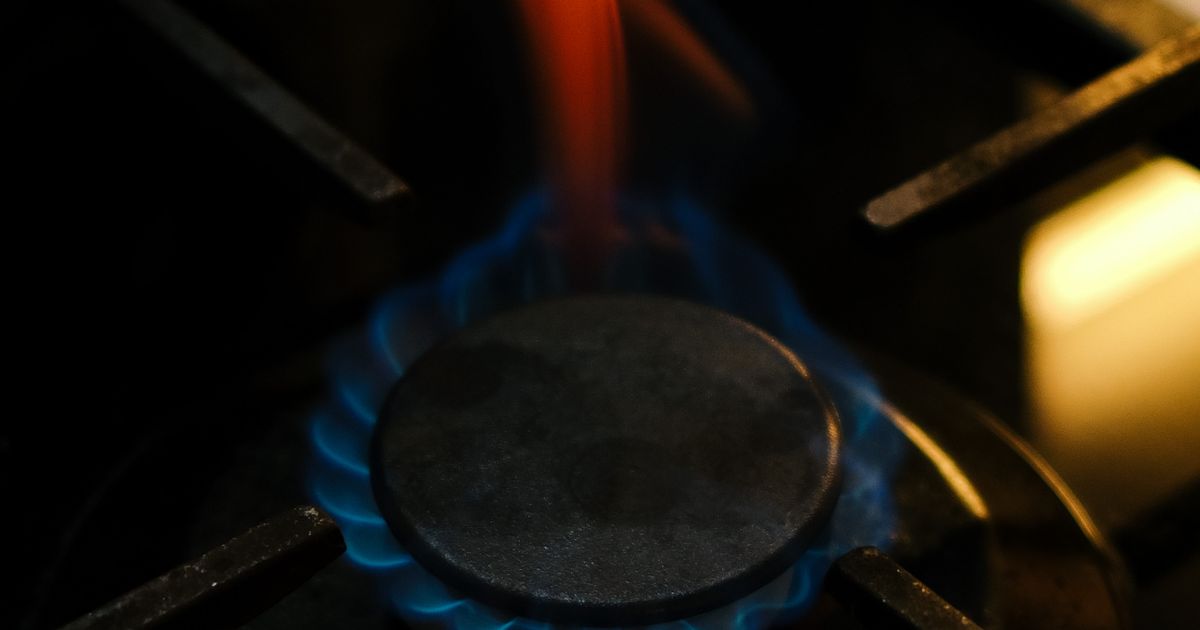 火がついたガスコンロのバーナー