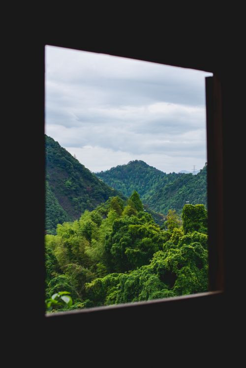 Free Serene view of dense green mountains through a window. Perfect for nature lovers. Stock Photo
