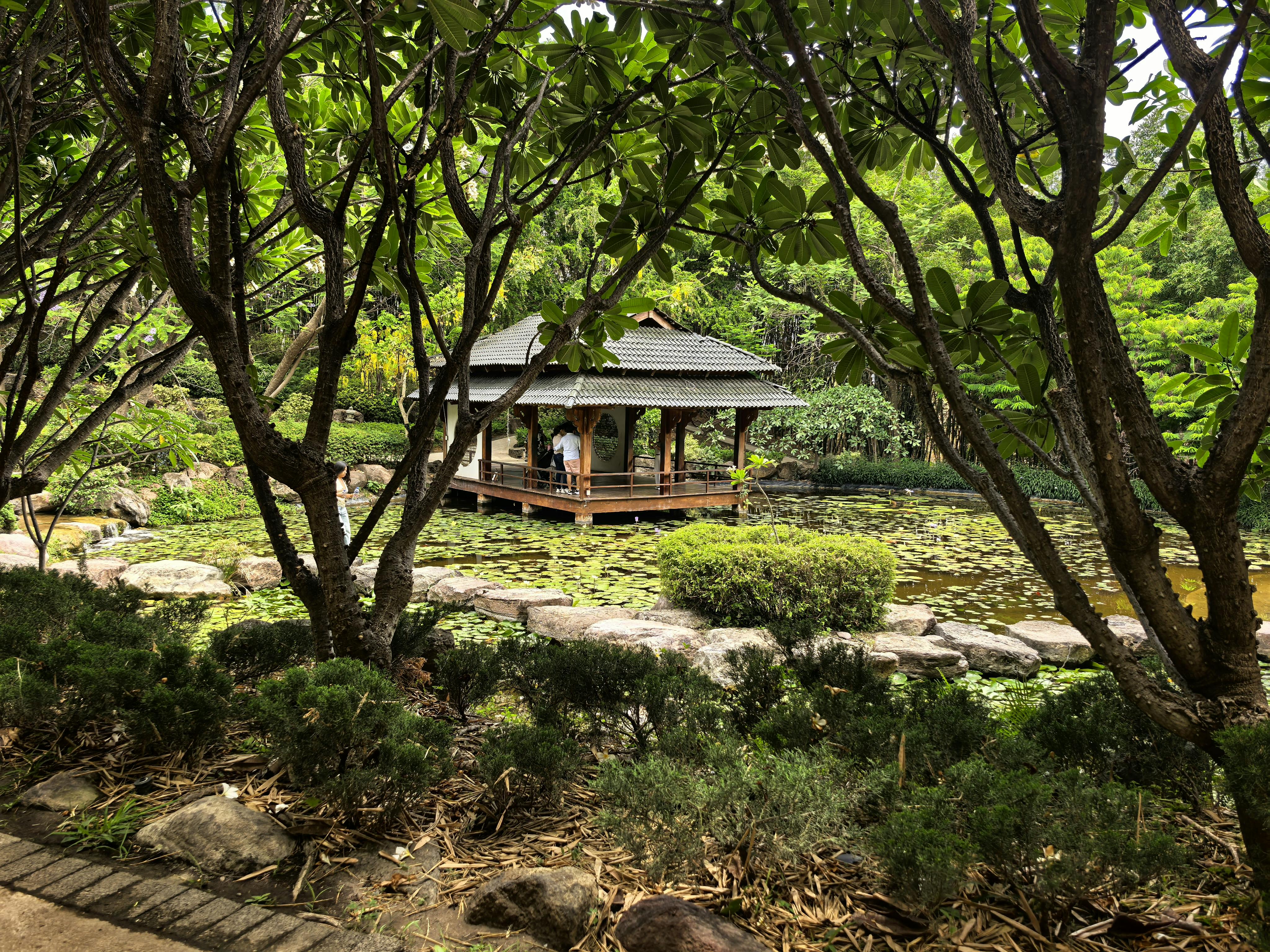 Integrated home wellness system connecting meditation pavilion to other spaces