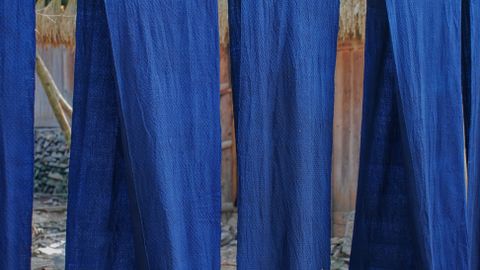 Indigo-dyed fabric dries outdoors on a rack beside bundles of straw, showcasing traditional textile methods.