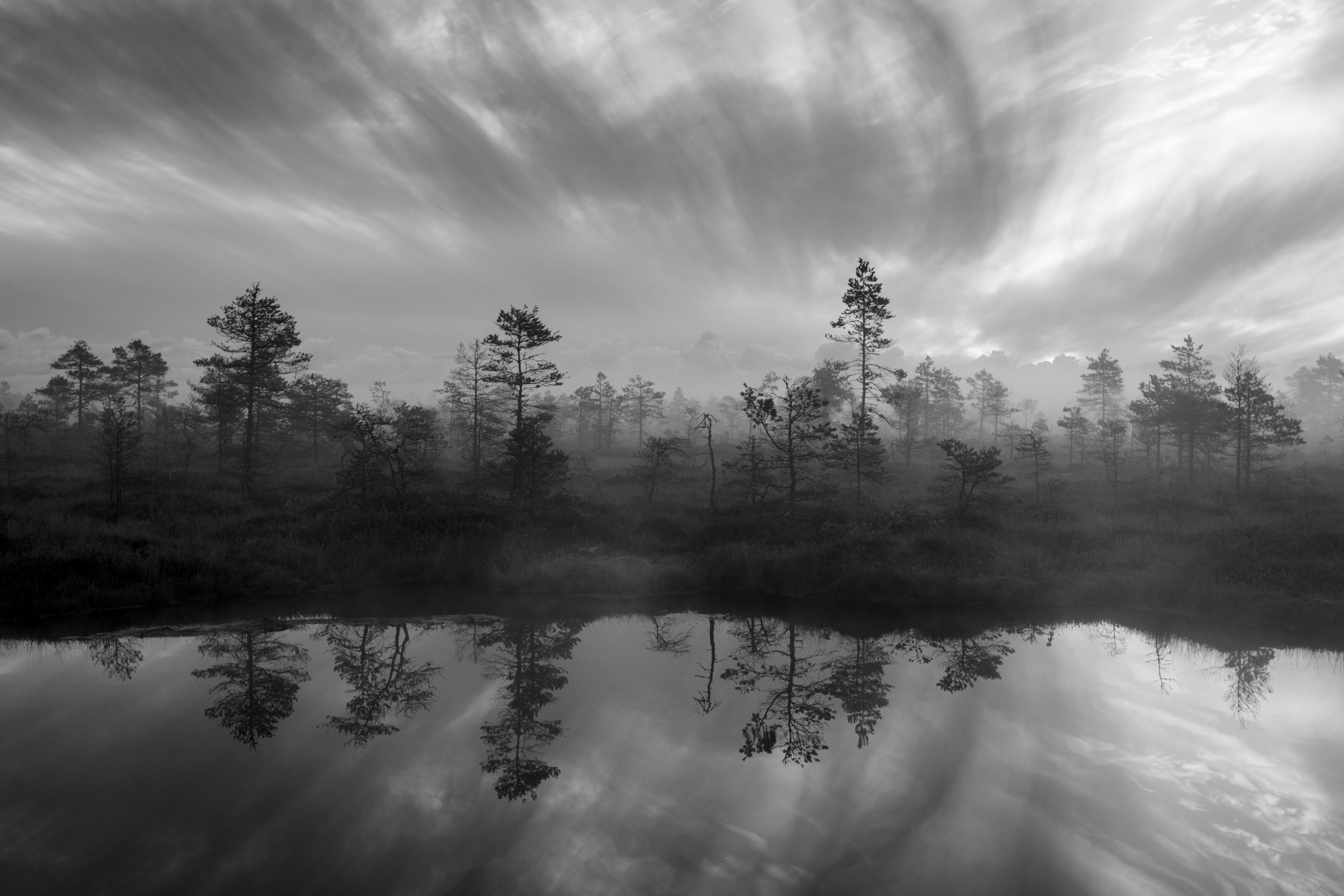 Black and white misty forest with reflections in calm water under dynamic skies.