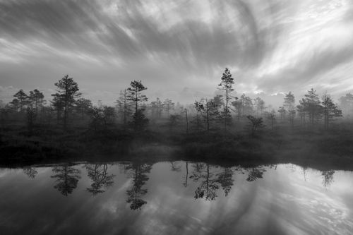 Free Black and white misty forest with reflections in calm water under dynamic skies. Stock Photo