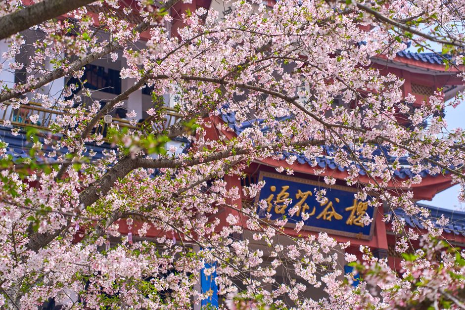 Wuxi & Lake Tai (Taihu) — Where to Eat in Wuxi