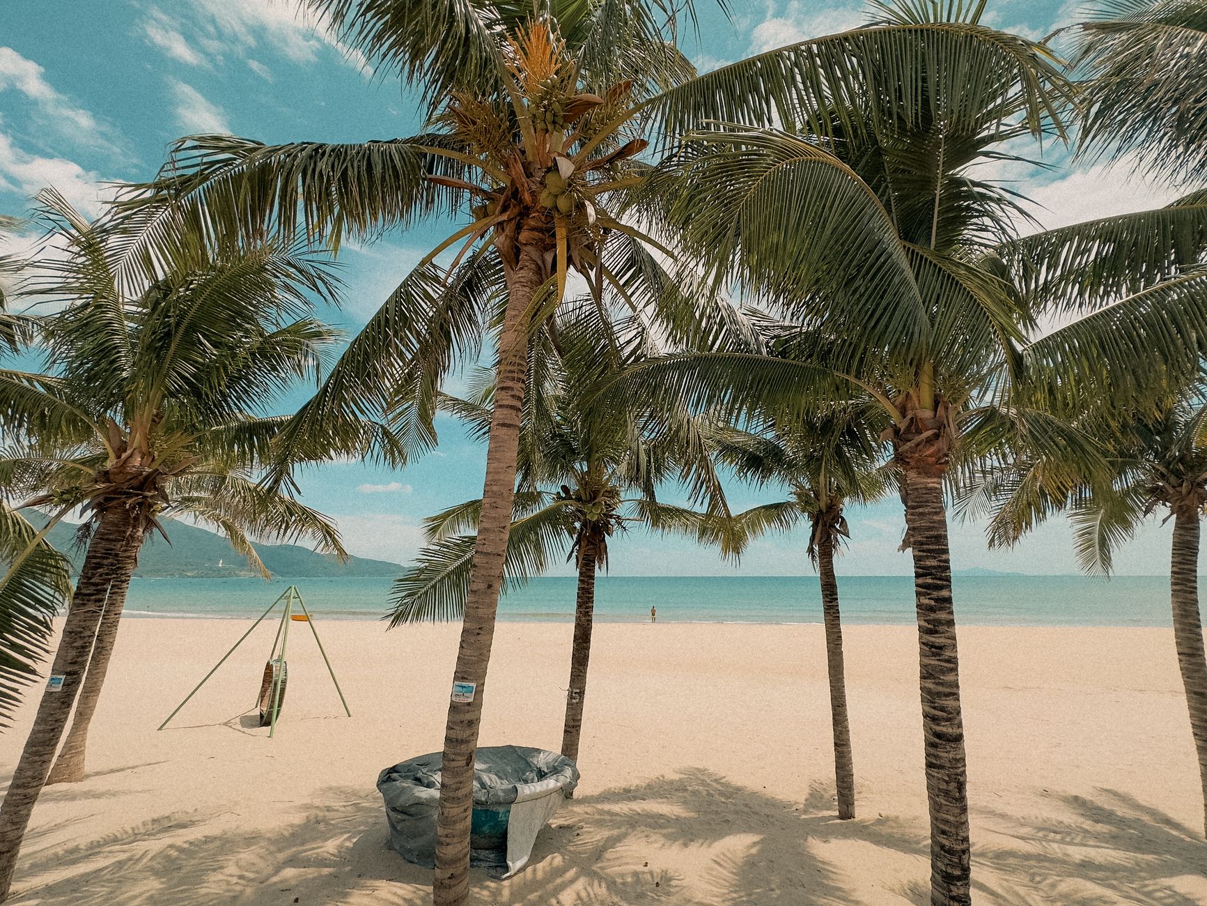 A serene tropical beach scene with tall palm trees and a hammock under a clear sky — the relaxed beach lifestyle that defines Playa Blanca's appeal.