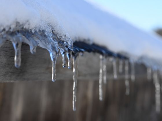 Icicles hanging from the edge of a timber roof in freezing weather