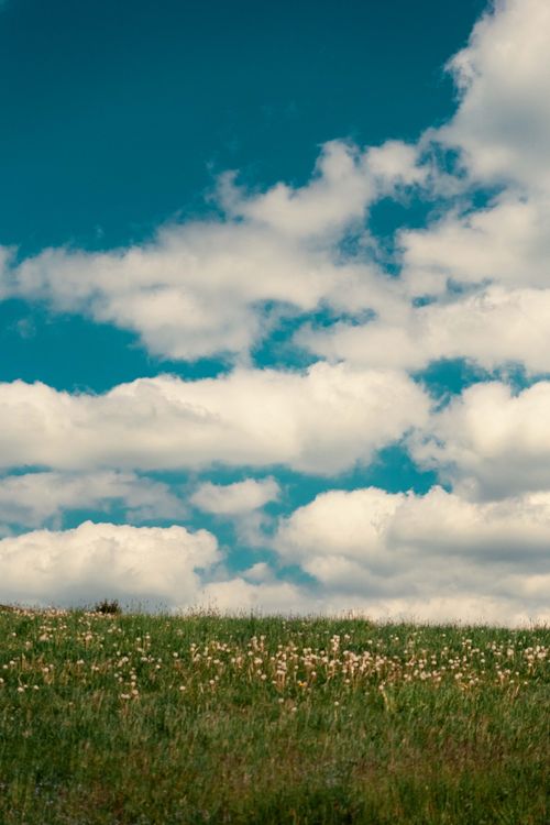 Free A tranquil landscape featuring a meadow under a blue sky filled with fluffy white clouds. Perfect for nature lovers. Stock Photo