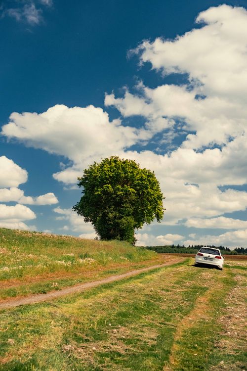 Free Explore a peaceful countryside scene with a single oak tree, grassy fields, and a car under a bright blue sky. Stock Photo