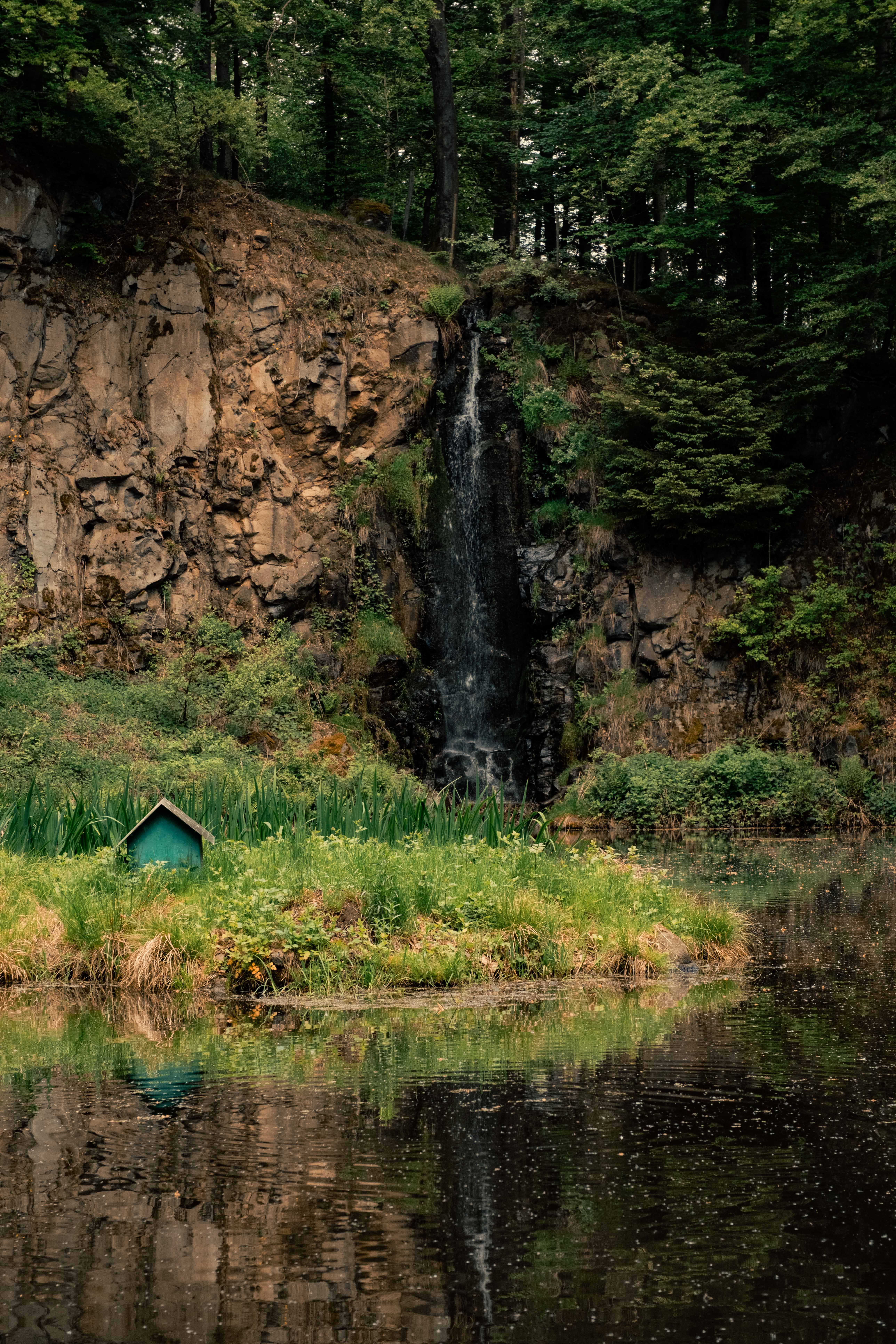 Serene Forest Waterfall and Reflective Pond Scene · Free Stock Photo