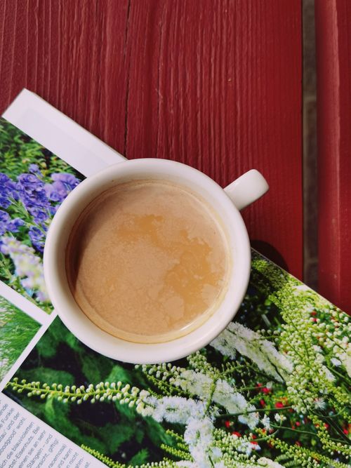 Free Cup of coffee placed on a gardening magazine with flowers, resting on a wooden table. Stock Photo