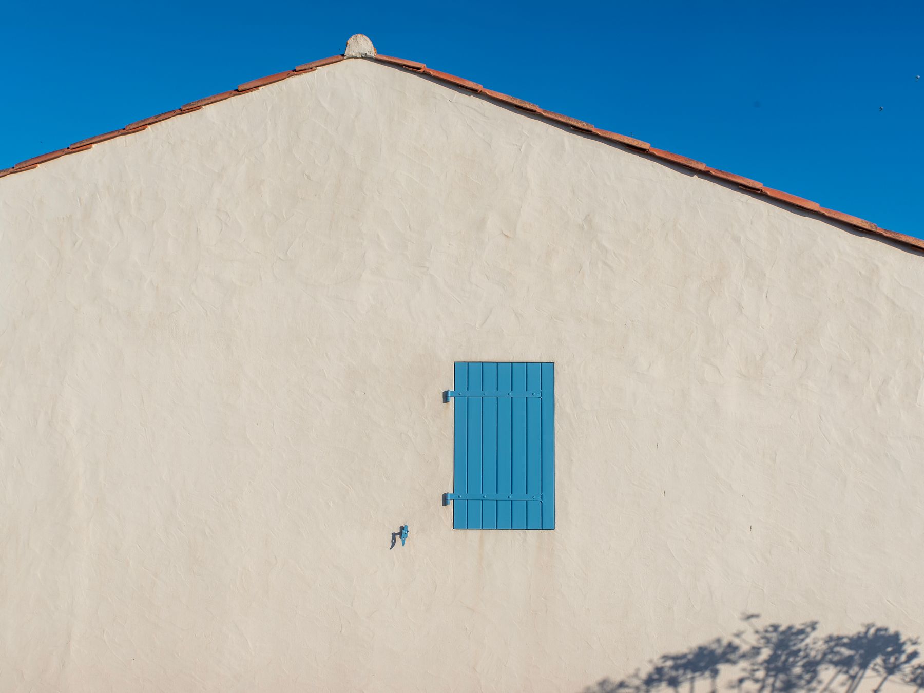 Masonry and Render Painting in Lower Clapton — walls rolled to an even, flat finish