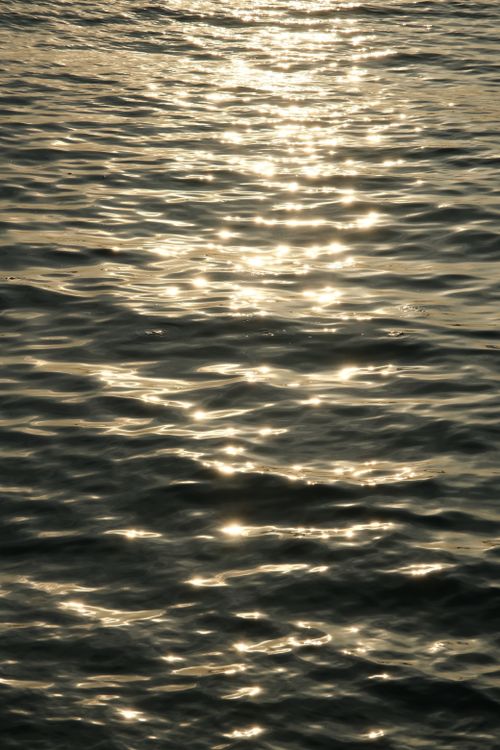 Free Glistening sunlight reflections on a calm water surface creating a serene pattern. Stock Photo