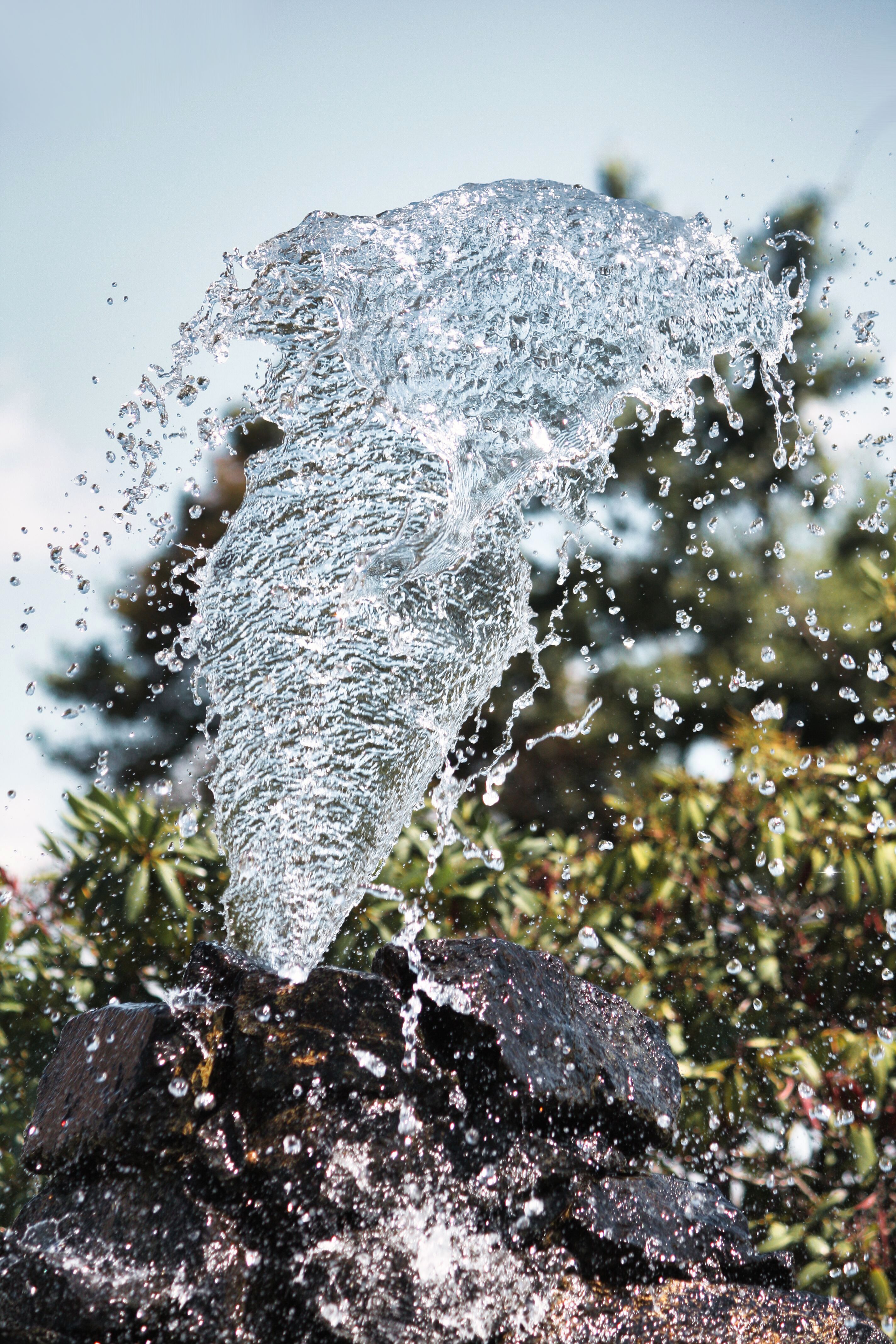 Fotomural Una imagen cautivadora del agua de una fuente salpicando sobre un jardín de fondo, que muestra el movimiento y la naturaleza.