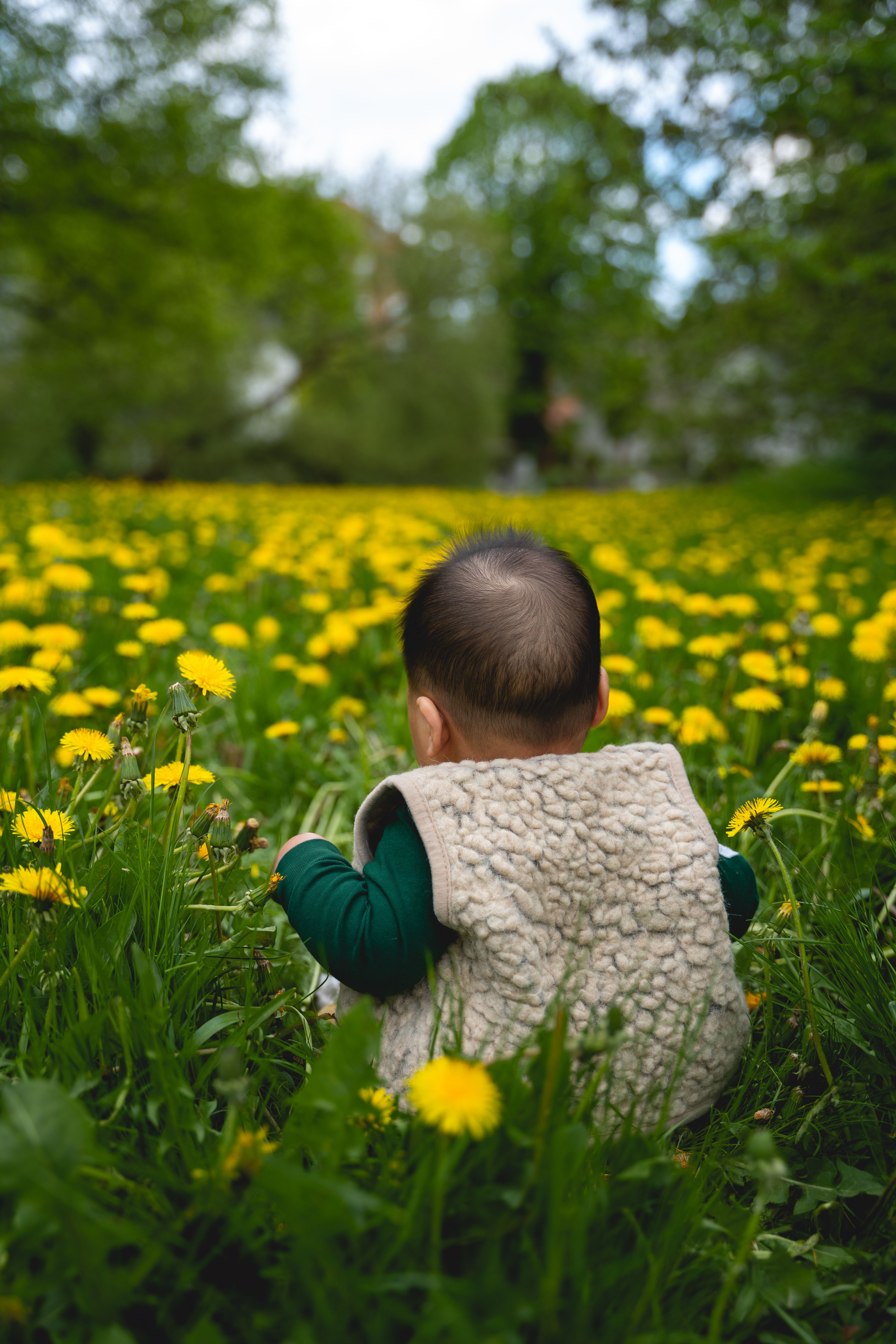 Kostenlos Ein süßes Baby sitzt in einem leuchtenden Löwenzahnfeld in Odense, Dänemark, und spiegelt die Freude des Frühlings wider. Stock-Foto