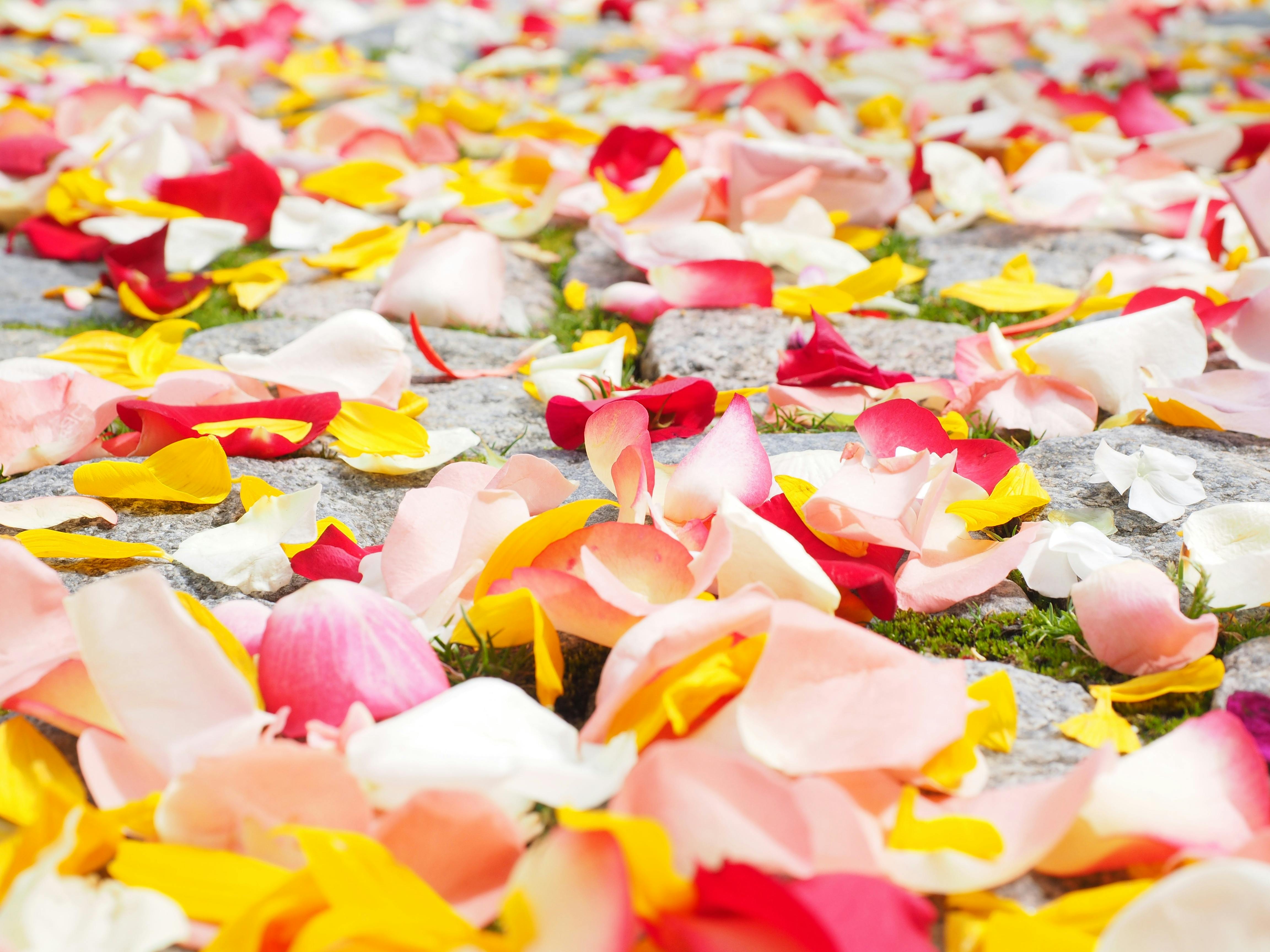 love wallpapers pexels free